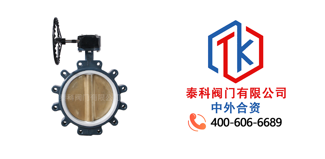 泰科閥門有限公司蝸輪對夾支耳蝶閥的特點！