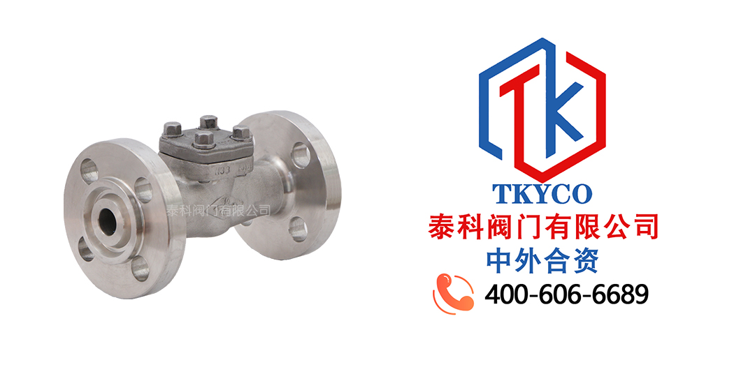 泰科閥門有限公司旋啟式止回閥的應用領域！