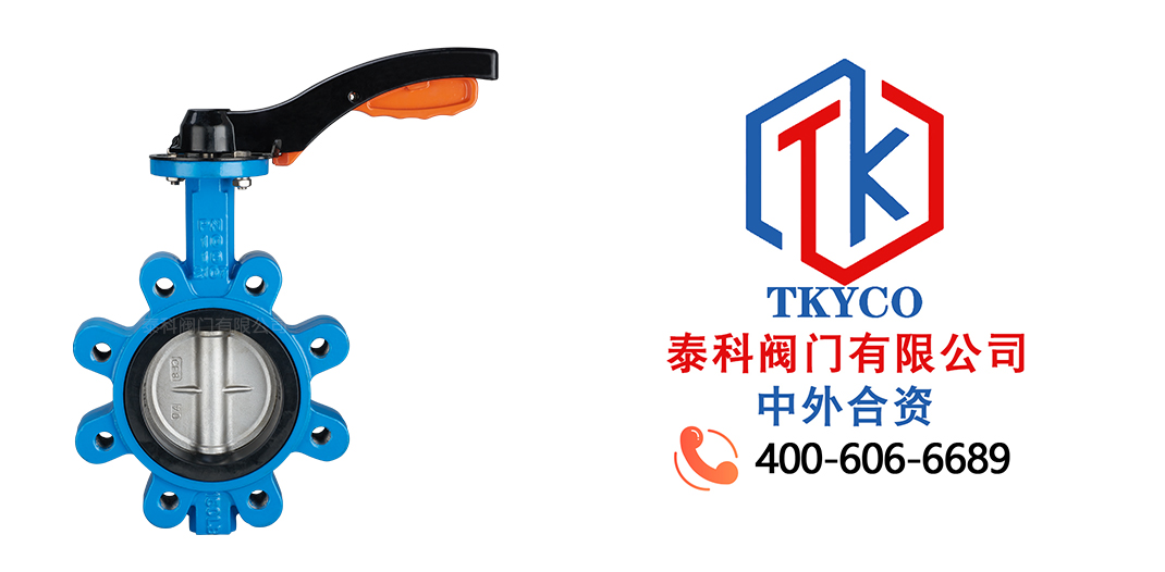 軟密封蝶閥拼圖